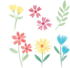 Watercolor Flowers Vector Collection