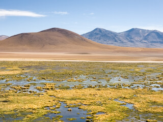 Atacama desert in Chile