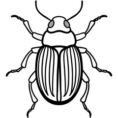Geometric Beetle Design