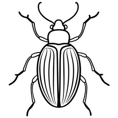 Geometric Beetle Design
