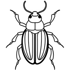 Geometric Beetle Design