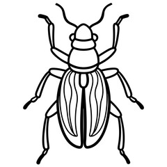 Geometric Beetle Design