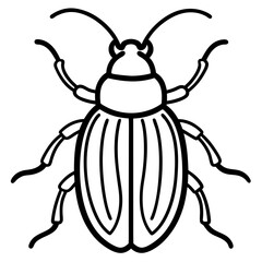 Geometric Beetle Design