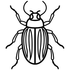 Geometric Beetle Design