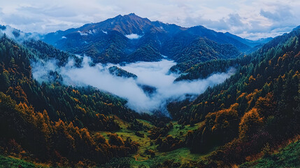 Obraz premium Misty mountain valley autumn landscape, scenic view