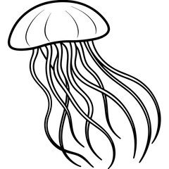 Graceful Jellyfish Lines