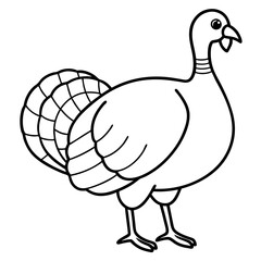Graceful Turkey Drawing