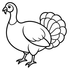 Graceful Turkey Drawing