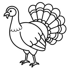 Graceful Turkey Drawing