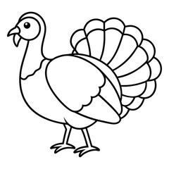 Graceful Turkey Drawing