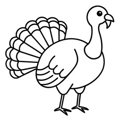 Graceful Turkey Drawing