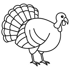 Graceful Turkey Drawing