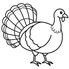Graceful Turkey Drawing