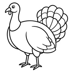 Graceful Turkey Drawing
