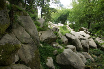 Cyclist navigates bustling Sintra, Portugal streets. Embracing urban cycling as daily commute. Sustainable, active transportation choice. A symbol of personal freedom and urban exploration.