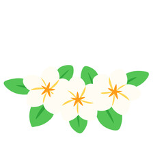 Fototapeta premium Hand drawn Plumeria flower illustration