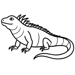 Linear Iguana Design