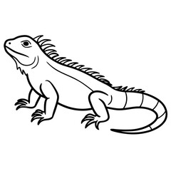Linear Iguana Design