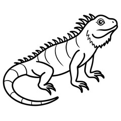 Linear Iguana Design