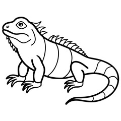 Linear Iguana Design
