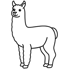 Minimalist Alpaca Vector