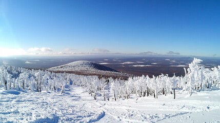 Frosty vista overlooking a winter wonderland on a bright sunny day