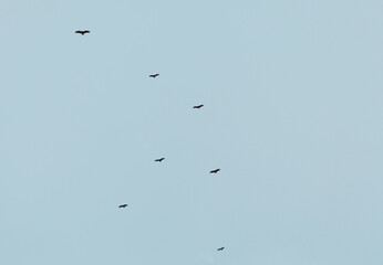 Sobre lo irrepetible