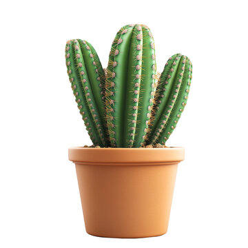 recommend clip art: Green cactus plant in a clay pot isolate on transparent background