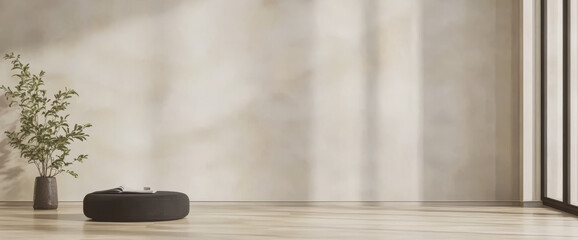 Modern interior with minimalist design featuring a black cushion and plant under natural light