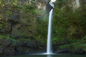 Wasserfall im tropischen Norden von Queensland - Nandroya Falls Wooroonooran QLD  Australien © jiriviehmann