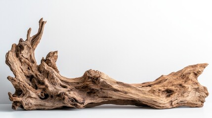Driftwood piece,  natural wood, white background, display object,  unique design, use in home decor or art
