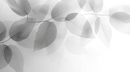 Abstract grayscale leaves, branch, light, nature, background, delicate, elegant, design, use for poster