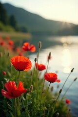 Soft focus on poppies and reeds along a lake shore at dawn, natural light, , reeds