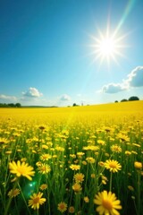 Vibrant yellow sun-drenched field of wildflowers, sunny day, bright