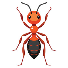 ant vector