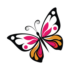 butterfly vector illustration