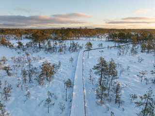 Early morning in Viru Bog, Estonia, shows snow, a wooden boardwalk, and sparse pine trees. Drone...