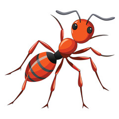 ant vector