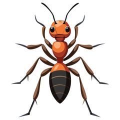 ant vector