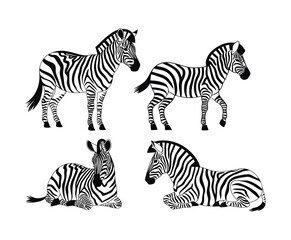Modern Zebra Silhouette Collection Vector Template
