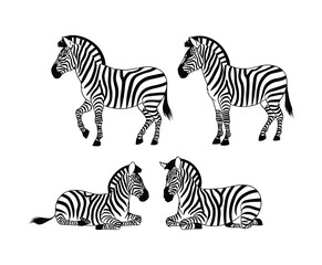 Fototapeta premium Simple Zebra Silhouette Collection Vector Template Design