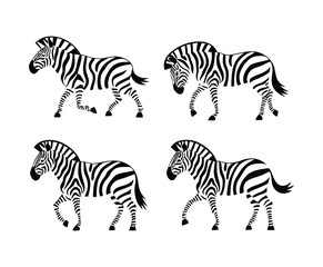 Obraz premium Zebra Silhouette Collection Vector Template for Icons