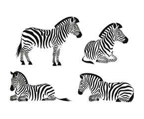 Zebra Silhouette Collection Vector Template Illustrations