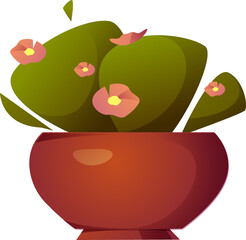 Home Plant Pot