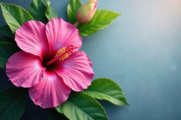 Vibrant hibiscus, orchids, lush leaves, exotic blooms , exotic, vibrant, illustration