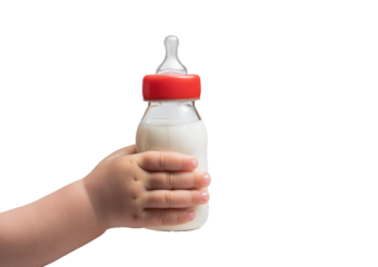 Baby's hand holding a milk bottle Isolated on transparent or white Background, top view, close up
