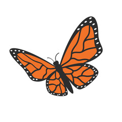 Illustration of a Adorable Butterfly