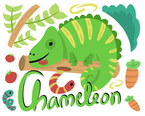Chameleon wildlife illustration with adorable style for kids