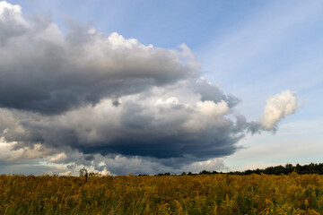 Fototapeta premium summer landscape during bad weather. Tula region, Russia