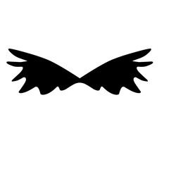 Bird Wing Silhouette